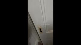 Ghost Sighting in Secret Room
