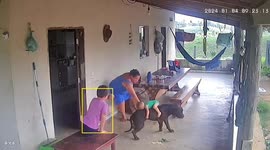 Baby riding dog nearly ends in disaster
