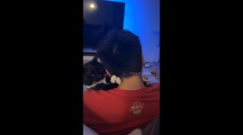 Cat Must Be Released