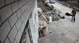 Loyal dog stands vigil over fallen owner until passing driver comes to the rescue in China
