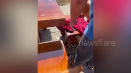 Locals find abandoned newborn baby under hot sun in Thailand