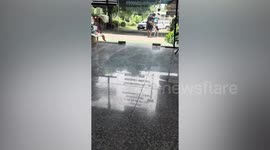 Owner drags reluctant dog to the vet