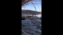 Unique water cross: deer interrupts duck hunt at Lake of the Ozarks, Missouri