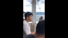 Parapat resident Junaldo Pardede faces aggression after sharing meal with a monkey