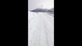 Sheep Bounces Down Mountain Road