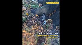 Woman Saves Baby Squirrel's Life