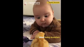Baby Meets Baby Chick