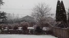 US: Cold Air Brings Snow, Low Temperature To Western Washington 4