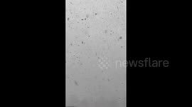 Canada: Arctic Blast Hits British Columbia, Bringing Heavy Snow To Metro Vancouver