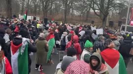 Palestine supports gather outside ICJ for genocide case against Israel
