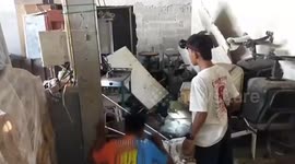 Brave snake wranglers use bare hands to catch deadly king cobra in Thailand