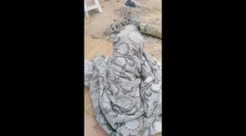 Dog wraps up warm in blanket as winter cools northern Thailand