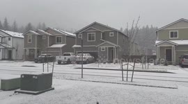 US: Cold Air Brings Snow, Low Temperature To Western Washington 5