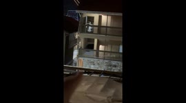 Man shouts to warm hotel guests about bear roaming premises