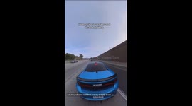 Good samaritan rescues stray dogs in California freeway