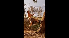 Tree Trunk Flip Fail