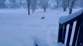 US: Massive Winter Storm Slams Across Country, Bringing Heavy Snow To Midwest 3