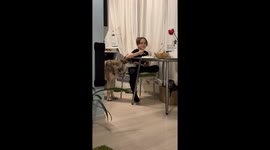 Persistent begging: Kira the wolf masters the art of requesting food in unique ways