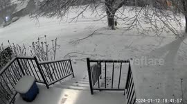 Time Lapse of Snowstorm Shows Tree Moving