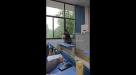 Stray cat sits in on teacher's lecture in China