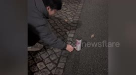 Funny moment odds and ends appear after fireworks explode on New Year's Day