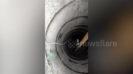 Stray dog stuck in bottom of school well rescued