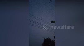 Astonishing sight shows massive flock of birds moving to warmer areas