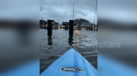 Resident kayaks through floods in Maryland