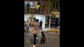 Playful pup sparks hilarious chase in Mexico City celebration
