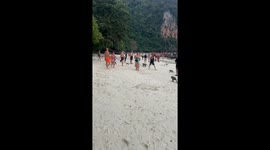 Monkeys start attacking tourists on a beach *Wildlife Encounter*