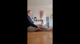 Dog is confused after owner performs a magic trick with favourite toy