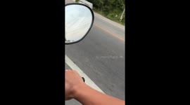 Escaped bull rams mother and daughter riding motorcycle