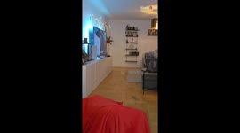 Owner hids in the blanket when the dog comes looking for her *Wholesome*