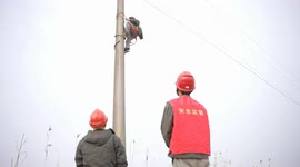Chinese city's innovative approach to preventing outages without harming wildlife