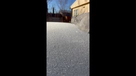 A Cold Morning In Arizona