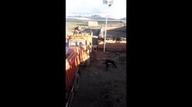Man narrowly escapes bear attack