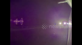 Bunny Biker Punches Tesla's Passenger Mirror