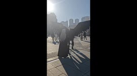 Horse with Pegasus wings impresses tourists in northern China