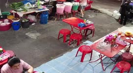 Clumsy cat falls into noodle pot at street restaurant