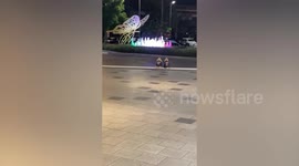 Well-behaved Pug dogs sit in front of mall to wait for owner