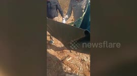 Leopard cub rescued after being spotted roaming on a field in central India