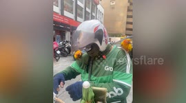 Food delivery rider takes two pet parrots to work with him