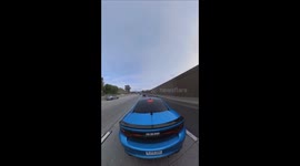 Good samaritan rescues stray dogs in california freeway rescued in time before anything happen