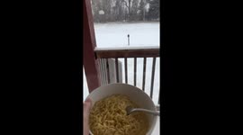 Fork freezes mid-air as Oklahoma resident takes bowl of ramen into -13C temperatures