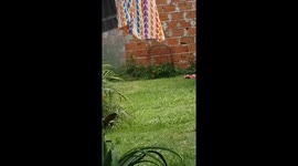 Watch this puppy desperately try to join its human siblings playing in paddling pool