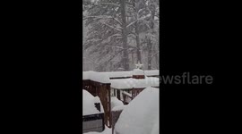 US: Parts Of Eastern Tennessee See Double-Digit Snowfall Due To Arctic Cold Front