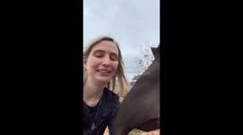 Tapir Kisses