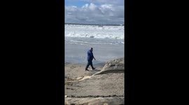 Man Gets Knocked Down By Big Wave
