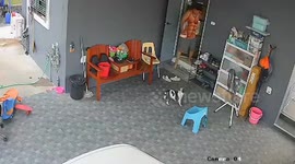 Excited dog pushes away chair as owner goes to sit down