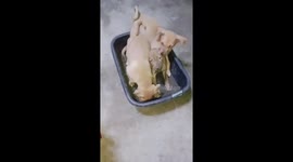 Three dogs play in small basin with sand